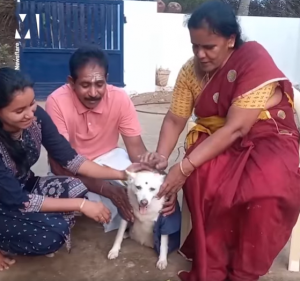 Tamil Nadu Family Organises Baby Shower For Pregnant Dog