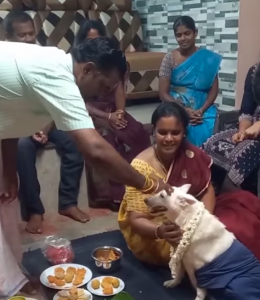 Tamil Nadu Family Organises Baby Shower For Pregnant Dog