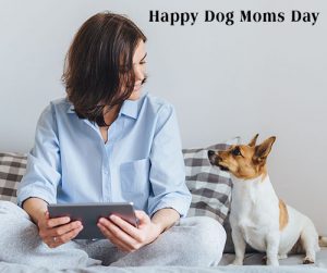 Happy Dog Moms Day 2022 Wishes