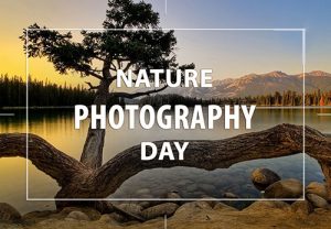 Happy Nature Photography Day 2022