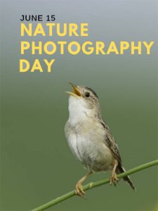 Nature Photography Captions for Instagram