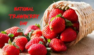 Happy Pick Strawberries Day 2022 Wishes