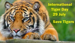 Happy Tiger Day 2022 Quotes