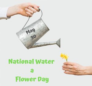 Happy Water a Flower Day 2022