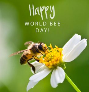 Happy World Bee Day 2022