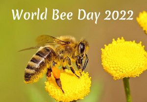 Happy World Bee Day 2022 Wishes