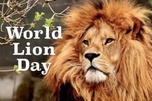 Happy World Lion Day 2022 Messages