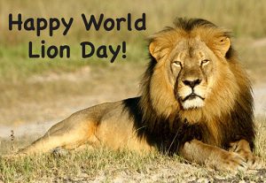 Happy World Lion Day 2022 Wishes