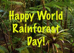 Happy World Rainforest Day 2022 Wishes