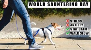 Happy World Sauntering Day 2022