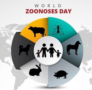 Happy World Zoonoses Day 2022