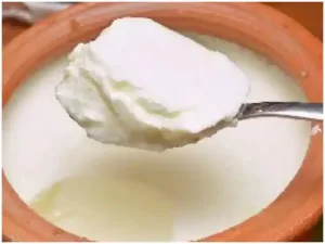 Know in which diseases curd is beneficial