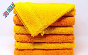 National Towel Day 2022