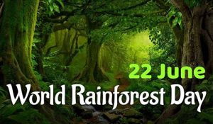 Save the Rainforest Slogans