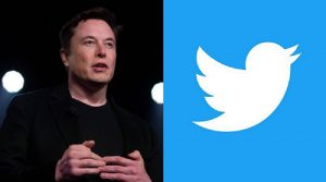Elon Musk Reply Viral on Twitter