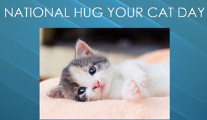 Happy Hug Your Cat Day 2022