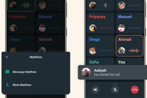 whatsapp Group call mute