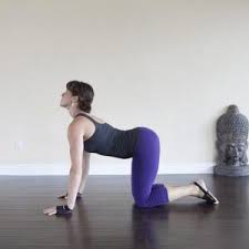 bitilasana