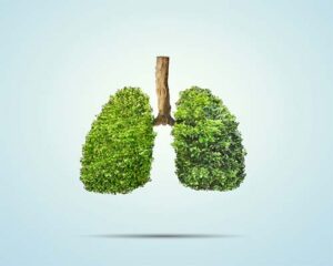 keep lungs healthy