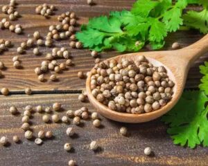 coriander beneficial