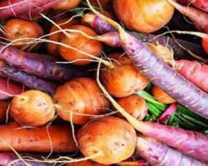 Root fruits and vegetables