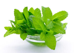 eat mint