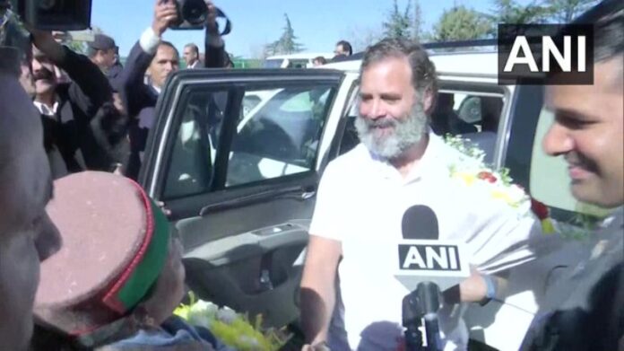 Rahul Gandhi arrived in Shimla