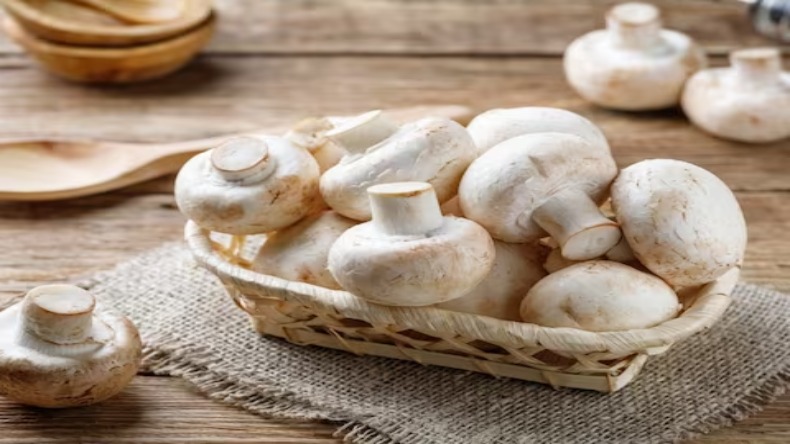 Mushroom Benefits: मशरूम खाने से शरीर को मिलते हैं कई फायदे, जानें कैसे?