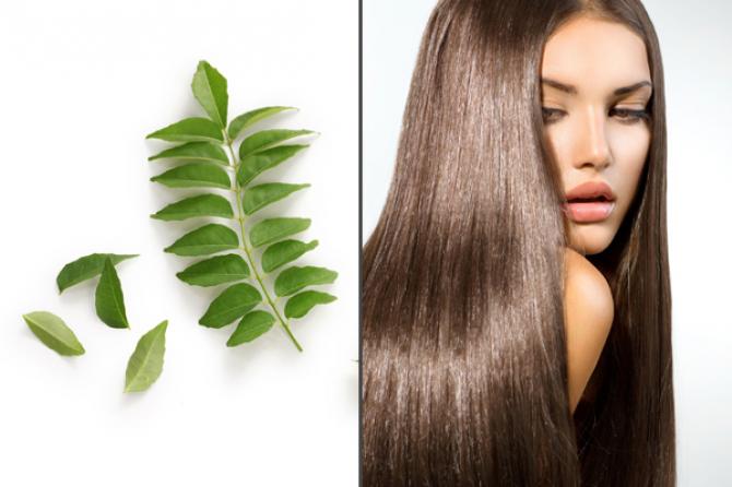 Curry Leaves for Hair