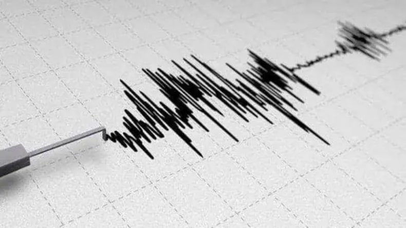 Earthquake hits New Zealand: भूकंप के तेज झटकों से कांपी न्यूज़ीलैंड की धरती, 7.3 रही तीव्रता