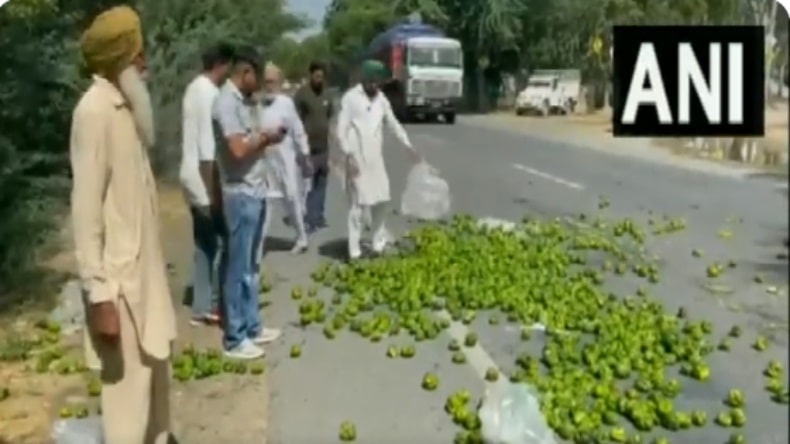 Punjab Farmers Angry: पंजाब में किसानों ने सड़क पर बिछाई शिमला मिर्च, जानिए इसके पीछे की वजह