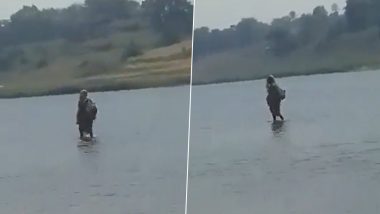 Viral video: पानी के उपर चलते हुए महिला का वीडियो हुआ वायरल, जानिए क्या है इसकी सच्चाई?