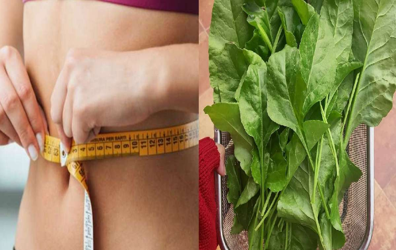 Weight Loss Tips:  वजन घटाने के लिए गर्मियों में खाएं ये सब्जियां