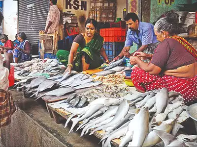 Kidney Failure With Fish: मछली खाने से हो सकता है किडनी फेल, सर गंगाराम अस्पताल ने दी महत्वपूर्ण सलाह