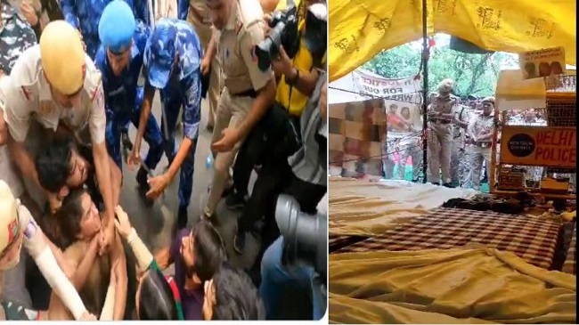 Wrestler Protest: दिल्ली पुलिस ने पहलवानों को हिरासत में लिया, साक्षी मलिक का दावा- हमारे टेंट उखाड़ रही पुलिस