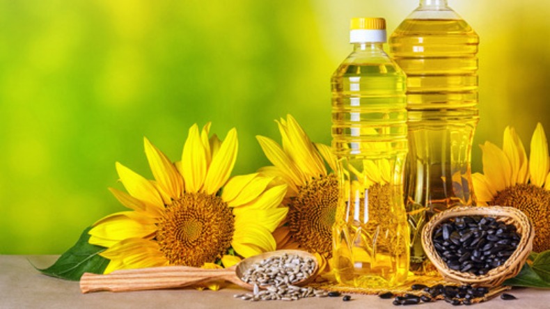 Sunflower Oil Benefits: सूरजमुखी के तेल में छुपे है सेहत के कई ऐसे राज़ जिन्हे जानकर चौंक जाएंगे आप