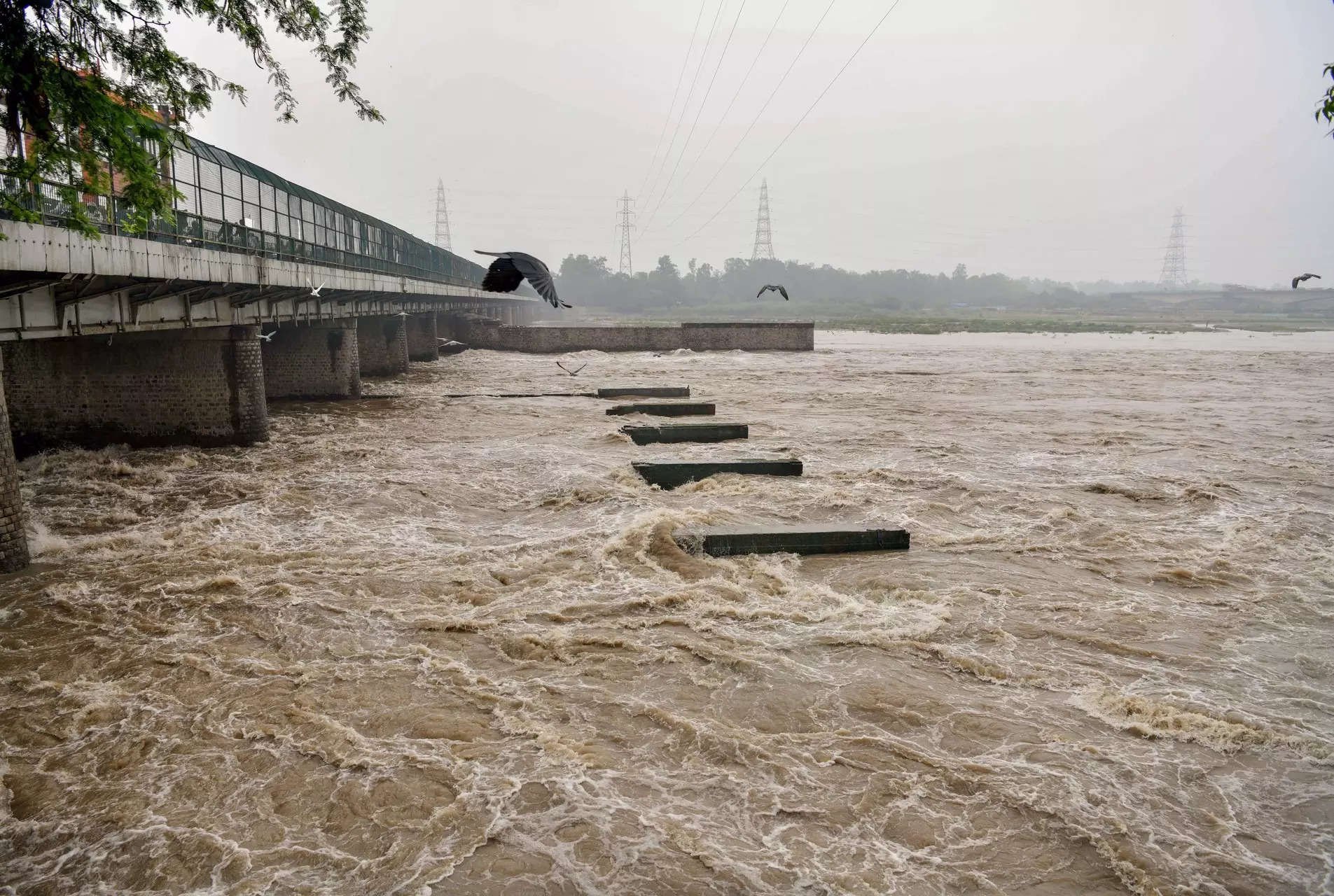 Yamuna Water Level: यमुना के पानी ने इतिहास का सभी रिकॉर्ड तोड़ा, 207.55 मीटर दर्ज किया गया जलस्तर