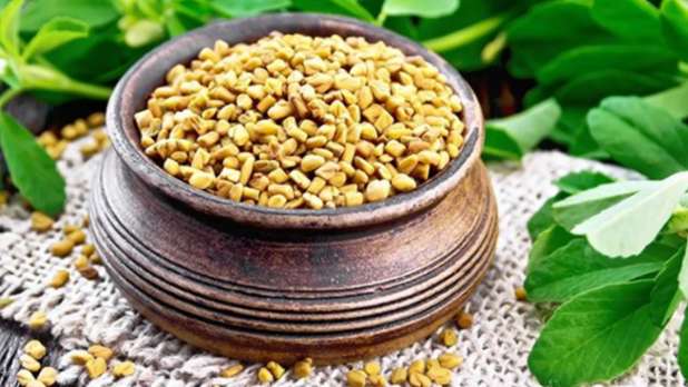 Methi benefits for hair: बालो के लिए होता है कारगर मेथी दाना, जानें कैसे किया जाएगा इस्तेमाल?