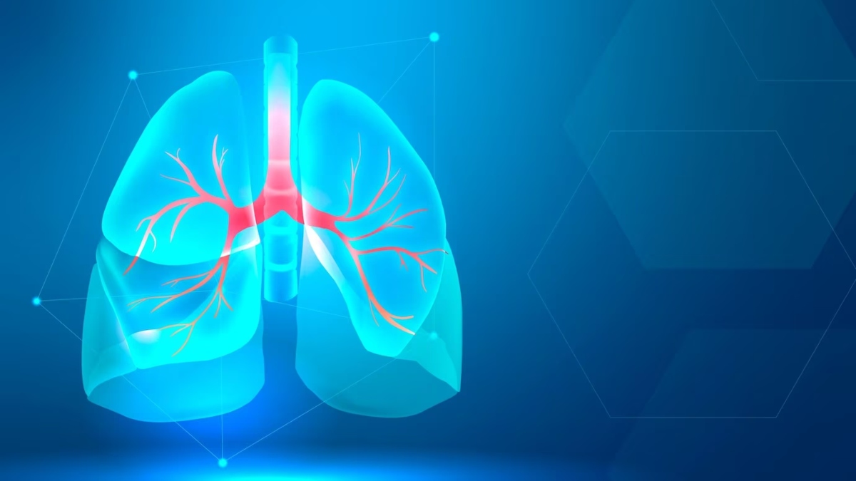 World Lung Day: फेफड़ों से संबंधित बीमारियों को दूर रखने के लिए अपनाएं कुछ जरुरी और अच्छी आदतें