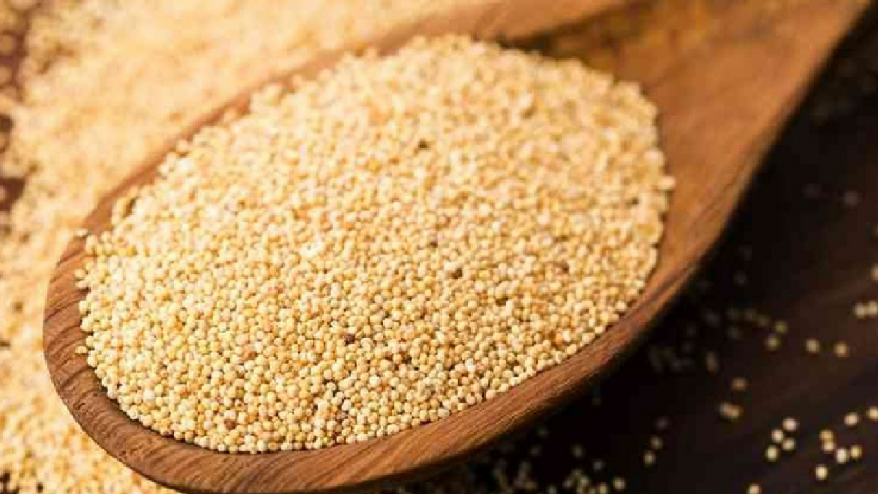 Poppy Seeds Benefits: खसखस के सेवन से सेहत को मिलेंगे यह गजब के फायदे, आज से ही करें डाइट में शामिल