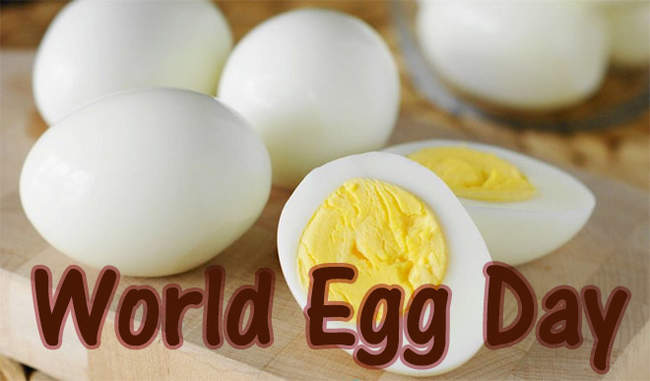 World Egg Day 2023: दुनियाभर में मनाया जा रहा आज 'विश्व अंडा दिवस' जानिए क्या है इसका इतिहास और थीम