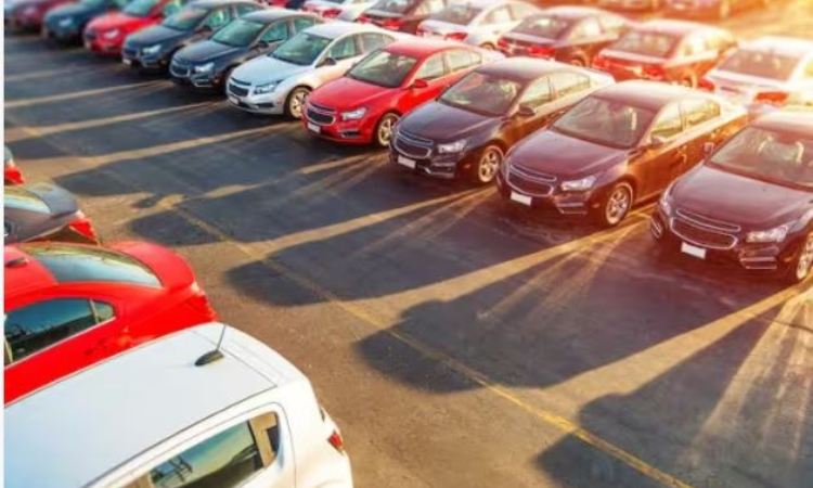 Study on Car Colors: अब कार का रंग बताएगा आपका IQ लेवल, रिपोर्ट देख हो जाएंगे दंग