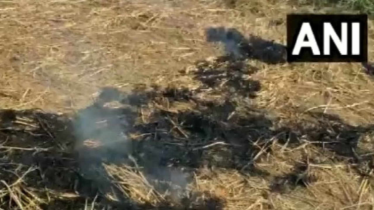 Stubble Burning In Punjab: धरे के धरे रह गए पंजाब सरकार के दावे, जालंधर में खूब जल रही पराली