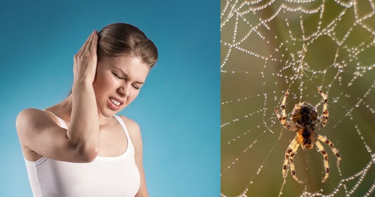 Spider in Womans Ears: ताइवान में एक महिला के कान में मिला स्पाइडर, वीडियो आया सामने