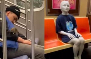 Bizarre metro videos​