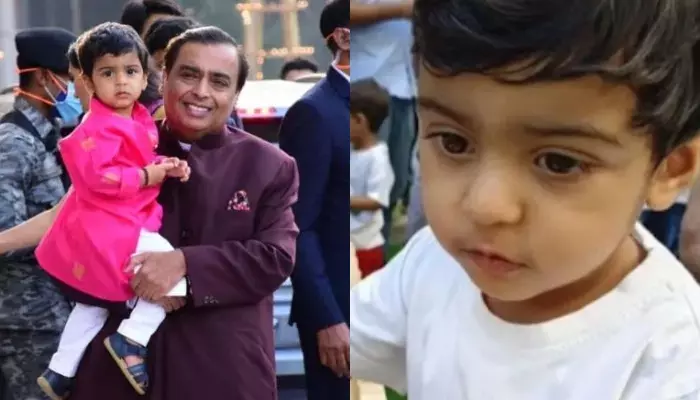 Mukesh Ambani के पोते Prithvi के स्कूल से सामने आई अनदेखी फोटो, बिल्ली को लाड़-प्यार करते आए नजर