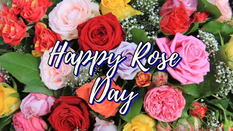 Rose Day 2024: इस तरह करें रोज डे पर अपने पार्टनर को विश, मैसेज देख आएगा प्यार