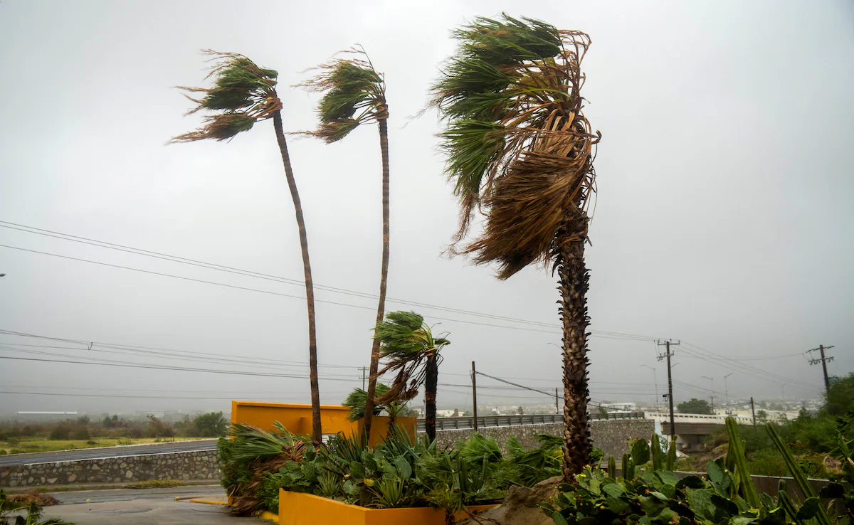 Norway Hurricane: नॉर्वे सबसे शक्तिशाली तूफान के लिए तैयार, मौसम विभाग ने किया अलर्ट जारी