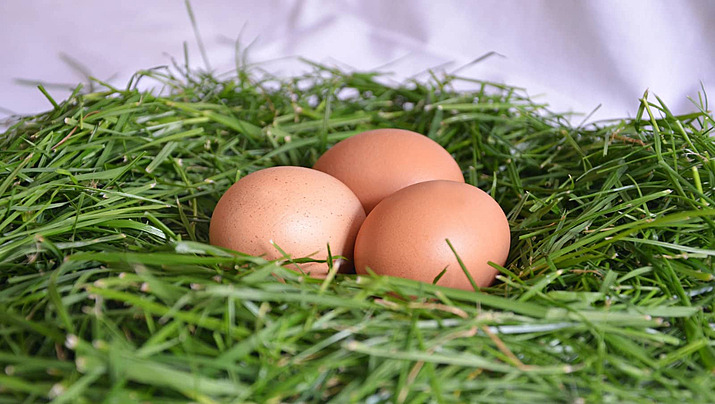 Boy Lays Eggs: मुर्गियों की तरह 2 साल तक अंडे था लड़का, डॉक्टर भी नहीं जान पाए वजह