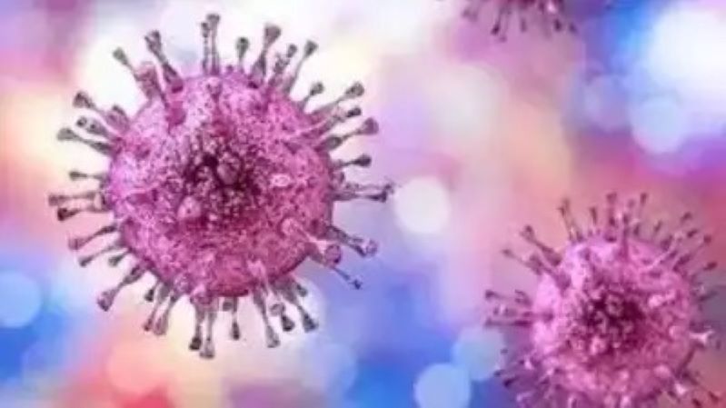 Congo Virus: पाकिस्तान में फैलने लगा यह खतरनाक वायरस, क्वेटा में कांगो वायरस का नया मामला आया सामने -IndiaNews